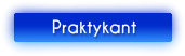 Praktykant